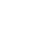 ISM Logo